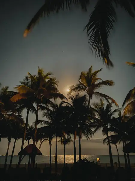 Hari yang Lapang untuk Perasaan yang Lebih Nyaman